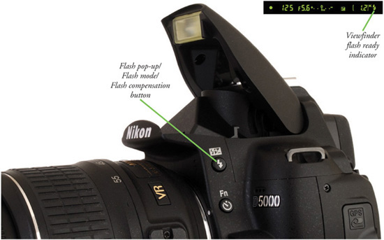 David Busch S Nikon D5000
