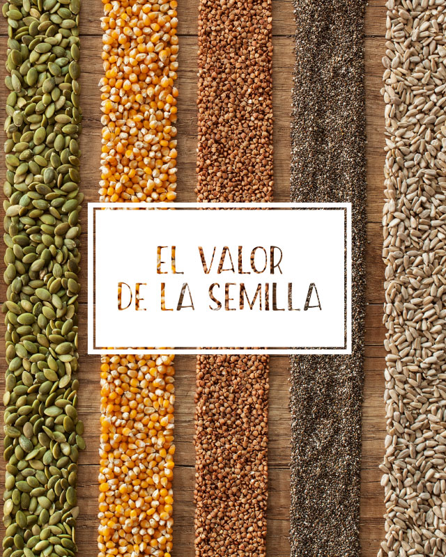 El valor de la semilla