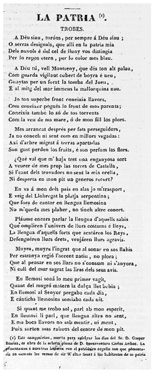 Imagen 04