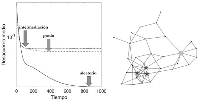 Gráfico, Gráfico radial
Descripción generada automáticamente