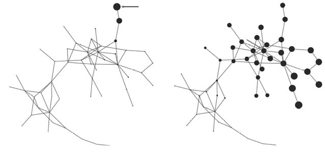 Gráfico, Gráfico radial
Descripción generada automáticamente