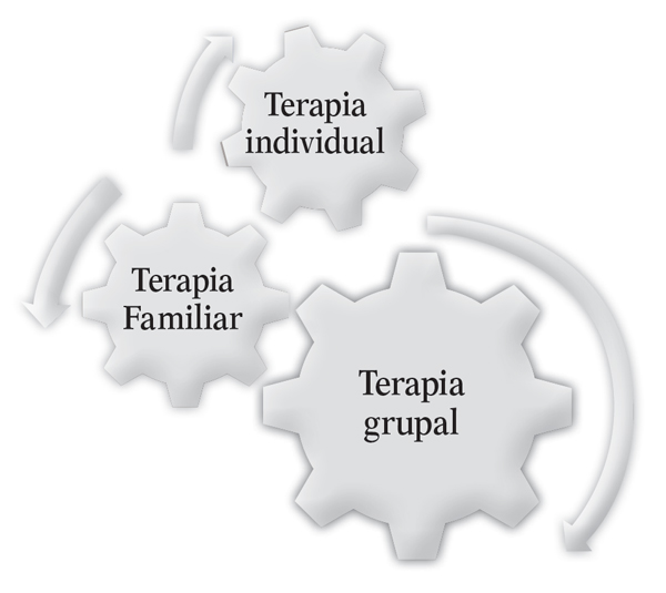 Figura 2. Esquema del engranaje de las intervenciones terapéuticas individuales y familiares dentro del proceso grupal