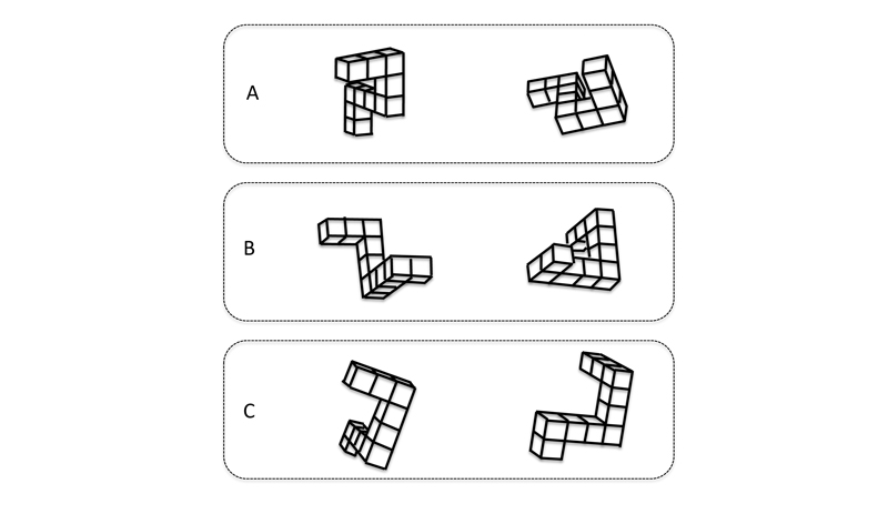 Fig02.jpg