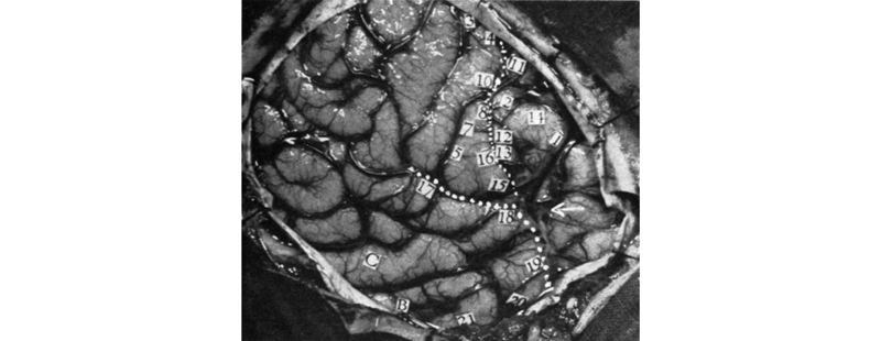 Fig04.jpg