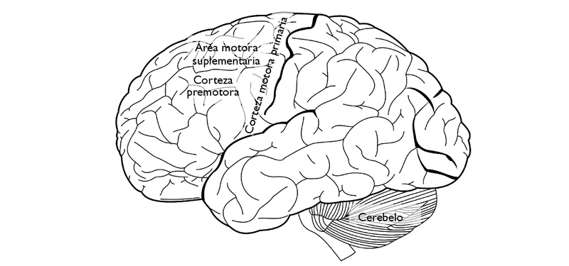 Fig05.jpg