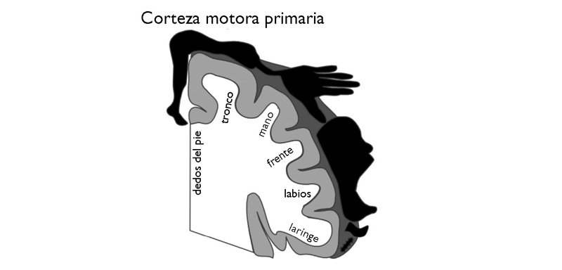 Fig06.jpg