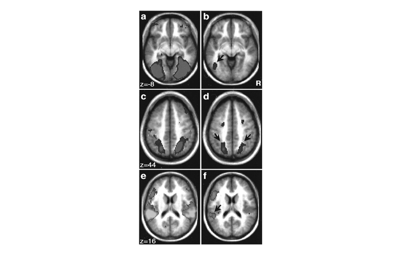 Fig07.jpg