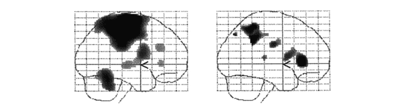 Fig08.jpg
