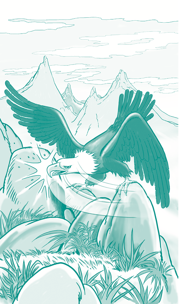 05_Renovacion_aguila