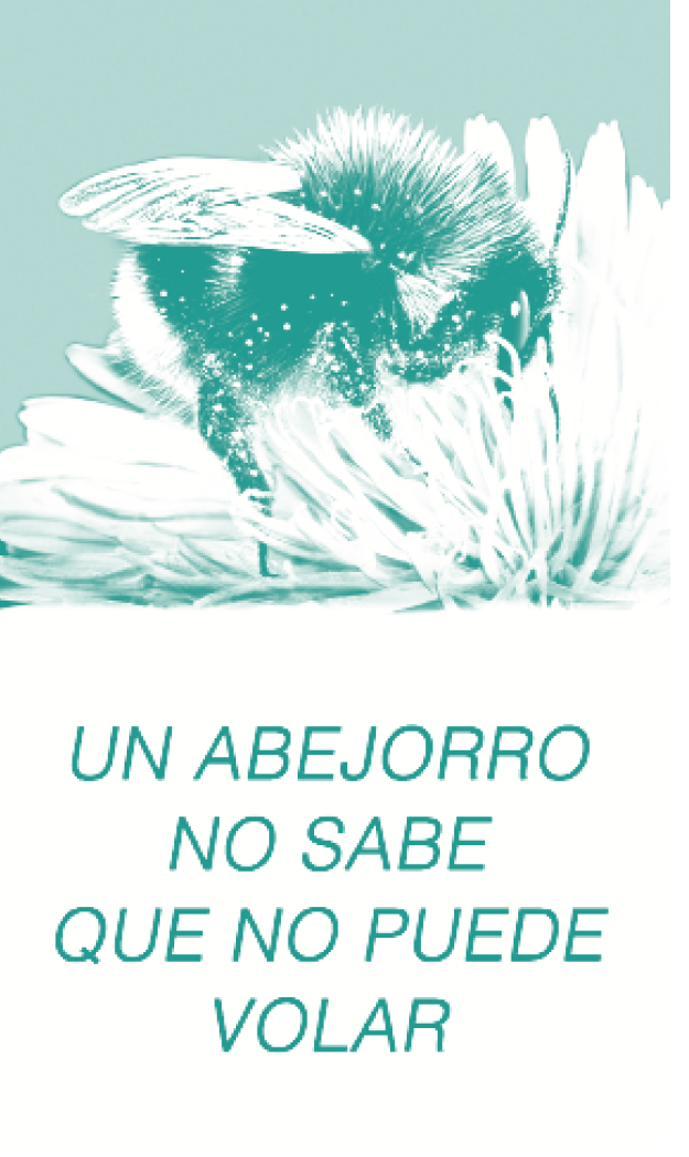 Pagina_Abejorro_Espa_ol-368_u_copy