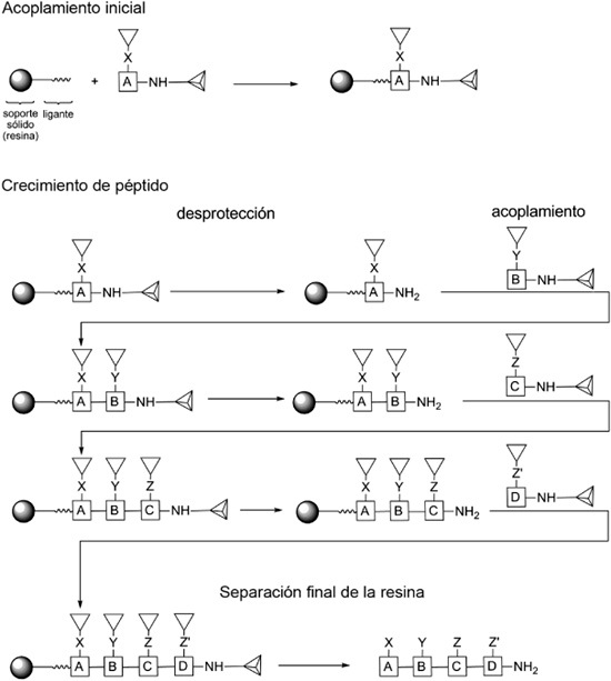 Qu Mica Combinatoria