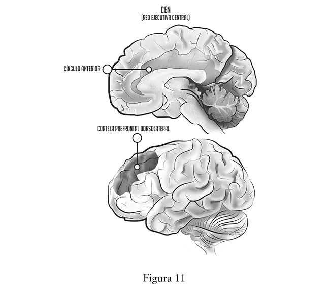 El Poder Transformador de la Música Clásica – Feel the Brain